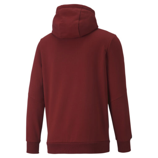 Puma Power Hoodie